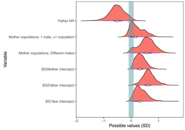 Fertility Factor: Why Bonnie Blue's 'Breeding Event' Date Shifted
